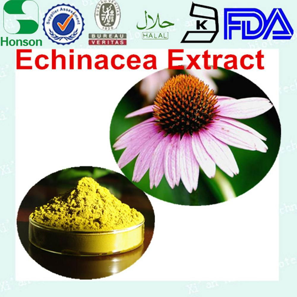 Echinacea purpurea extract 4%