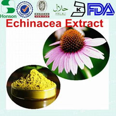Echinacea purpurea extract 4%