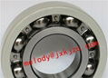 6019C3VL0241 Insulated deep groove ball bearing 1