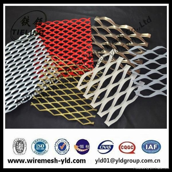 decoration aluminum expanded metal mesh of 3d wallpap of new house design 3
