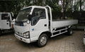 ISUZU Light Cargo Truck 600P 4