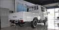 ISUZU Light Cargo Truck 100P 2