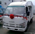 ISUZU Light Cargo Truck 100P 1