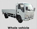 ISUZU Light Cargo Truck 100P 4