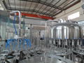 Automatic Mineral Drinking Water Bottle Filling Machines