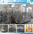 Automatic Fruit Juice Filling Production Line