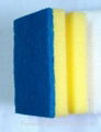 scouring pad