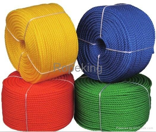 PE 3-strand twisted rope good quality and competitive price 2