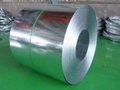 galvanized steel coil 5