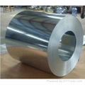 galvanized steel coil for roof sheet 2