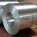 hot dipped galvanized steel coil 5