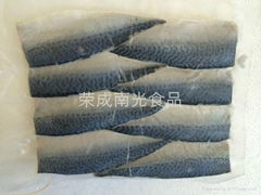 Frozen Mackerel fillet