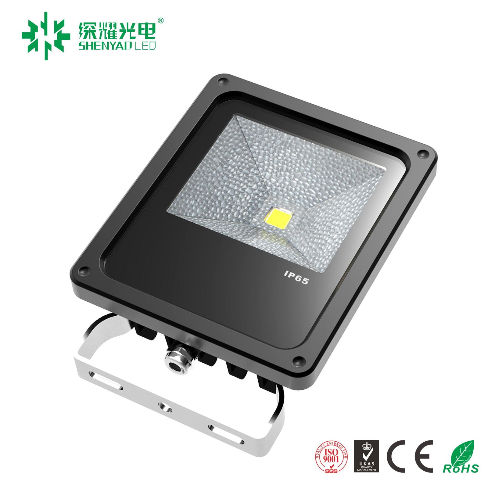 10w~200w IP65 LED flood light with CE ROHS ,5 years warranty