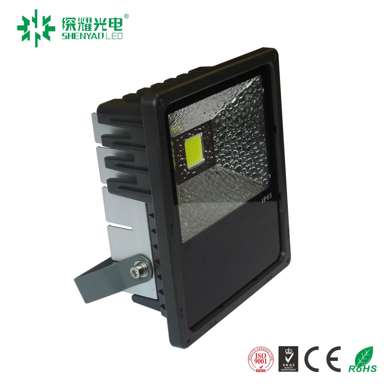 10w~200w IP65 LED flood light with CE ROHS ,5 years warranty 2