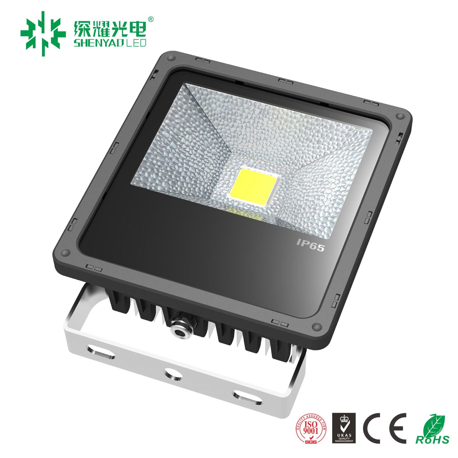 10w~200w IP65 LED flood light with CE ROHS ,5 years warranty 5