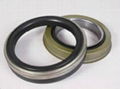 Projects Mechanical Oil Seals 1