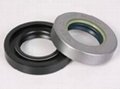 High, Low Seals For Hydraulic Pumps And