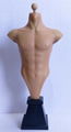 12 "figure bust flat platform