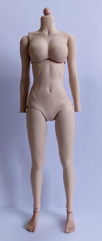 1/6可动女素体