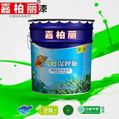 Hot! Caboli high quality decoration interior paint