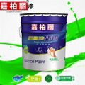 Caboli Modern Design Interior Paint