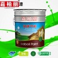 Caboli exterior emulsion matt wall paint 2