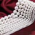Shell Pearl Round beads