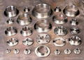 Carbon/stainless steel flanges/elbow 4