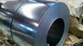 Galvanized steel coil/ sheet