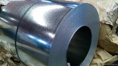 Galvanized steel coil/ sheet