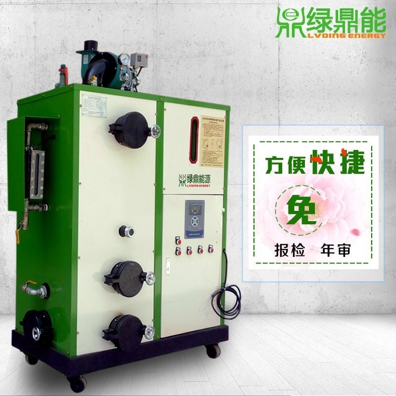 绿鼎能 生物质蒸汽发生器 生物质蒸汽锅炉 节能减排 5