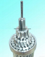 All Aluminum Conductor (AAC AAAC) & Aluminum Conductor Steel Reinforced (ACSR) P