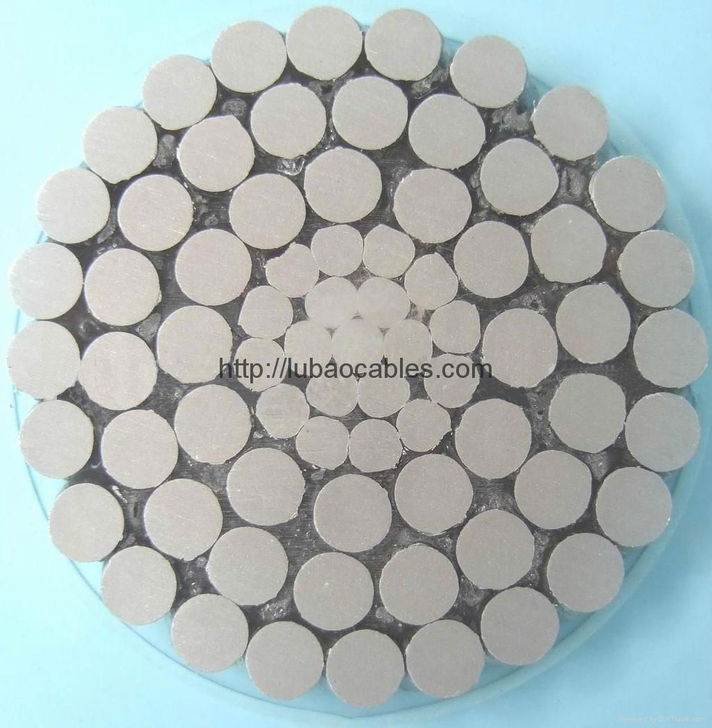 All Aluminum Conductor (AAC AAAC) & Aluminum Conductor Steel Reinforced (ACSR) P 2