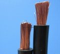 General Rubber Sheath Cable (GB 5013-1997, JB 8735-1998) .  2