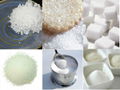 Cane Sugarand Beet Sugar 1