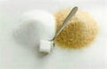 ICUMSA 45 Crystal White Cane Sugar 1