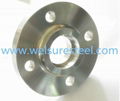 flange Socket Welding Flange(SW)