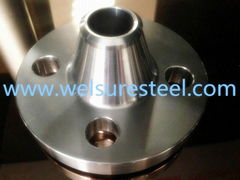 flange Welding Neck Flange(WN)