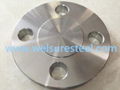 flange Blind Flange(BL)