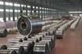Sell galvanized steel coil 1
