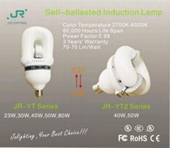 Self-Ballasted Induction Light Tube