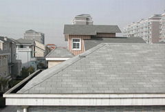 asphalt shingles