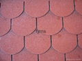 Round asphalt shingles roofing tiles 1