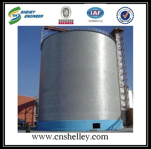 2000t Grain Storage System Wheat Silo 2