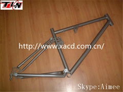 titanium suspension MTB bike frame 