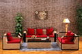 Modern Leisure Furniture Living Room Sofa Set