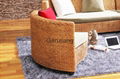 Modern Rattan Furniture Living Room Sofa