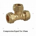 compression fitting for copper pipe 2