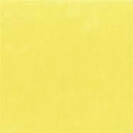 AMBE Lemon Nylon Flock Powder for Velvet