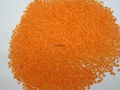 Novelty shaped speckles for detergent powder 5